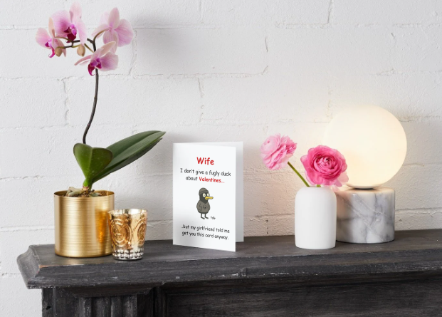Cheeky Anti Valentines Card for Wife - Funny Message, Greeting Cards, Valentine's Day Humor
